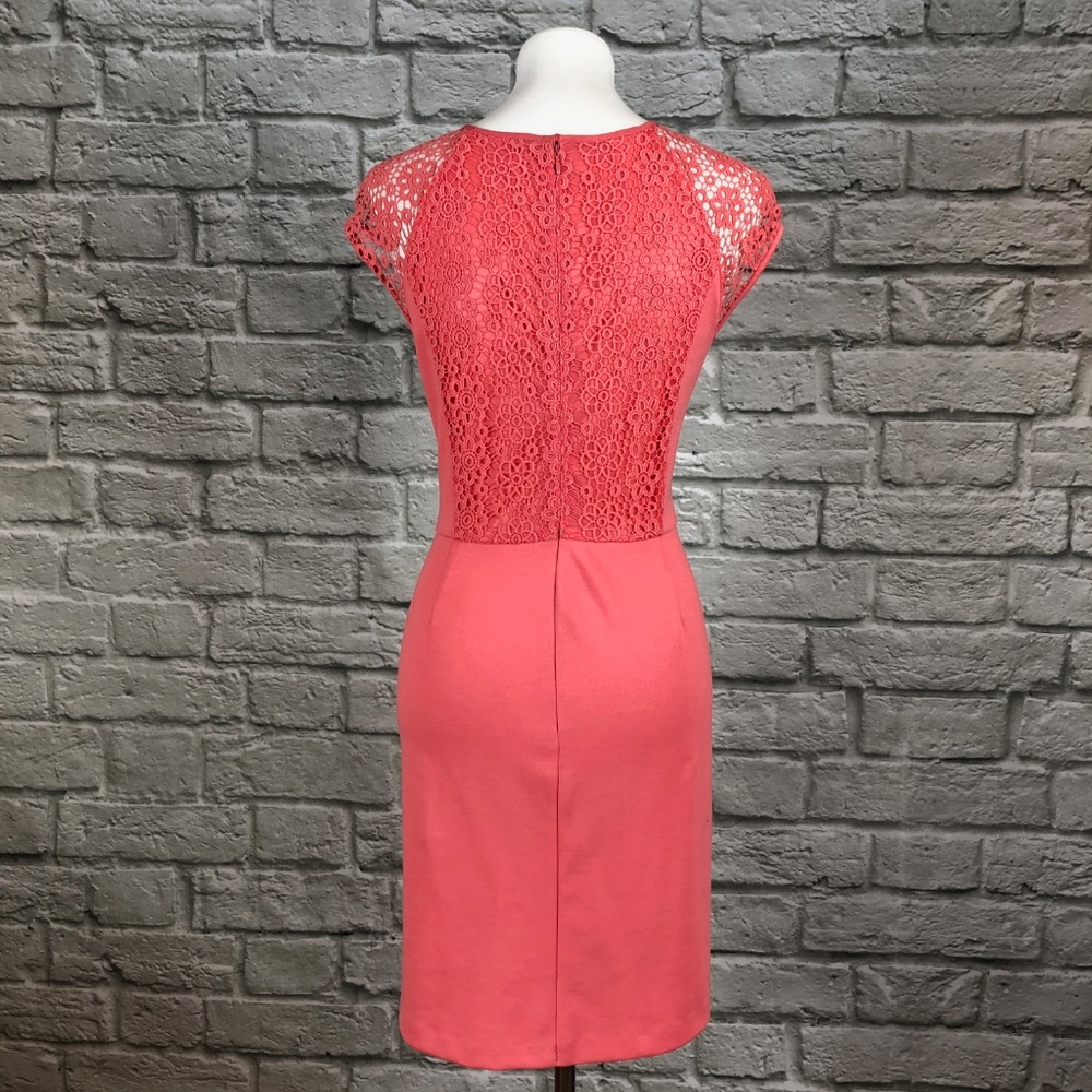 LC Lauren Conrad Lace Raglan Ponte Sheath Dress - Picture 4 of 5